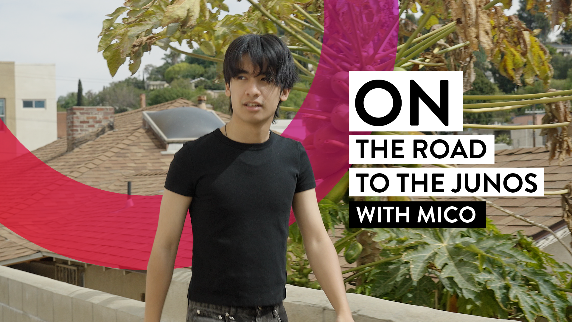 Video - ON the road to the JUNOS with MICO