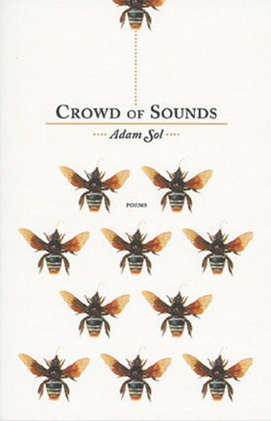Adam Sol Crowd of Sounds COVER