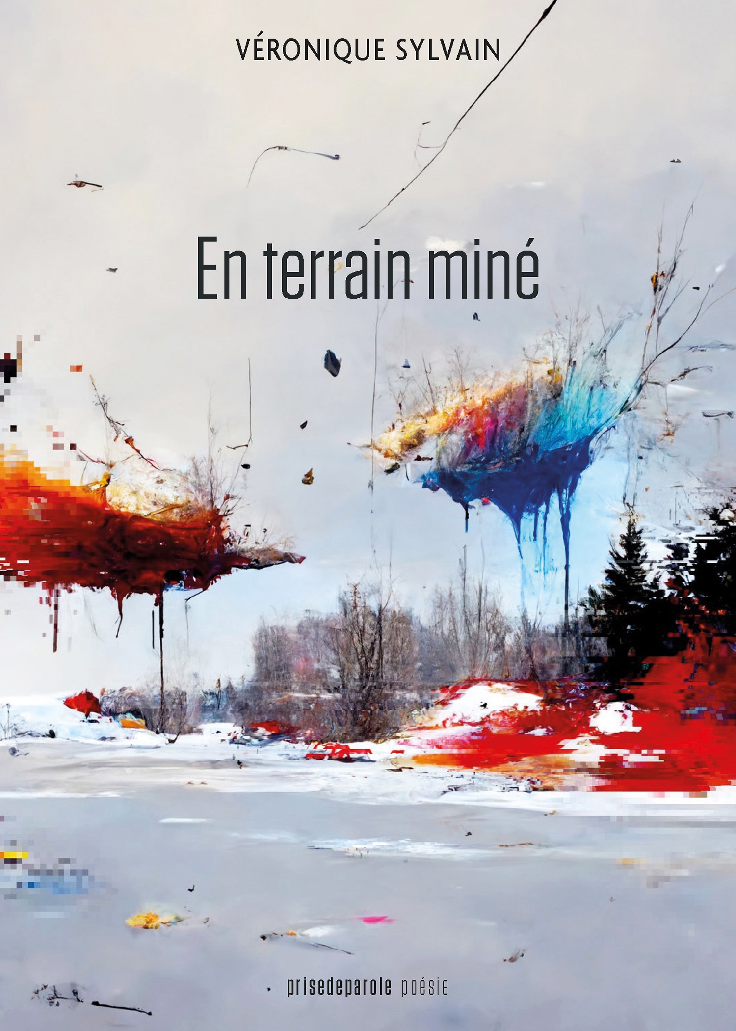 SYLVAIN Véronique Cover